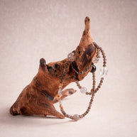 Confidence Career Rising Fortune Golden Tiger's Eye Sandalwood Handmade 3-Loop Bracelet·Earth｜Grounding — atmosphere image 2