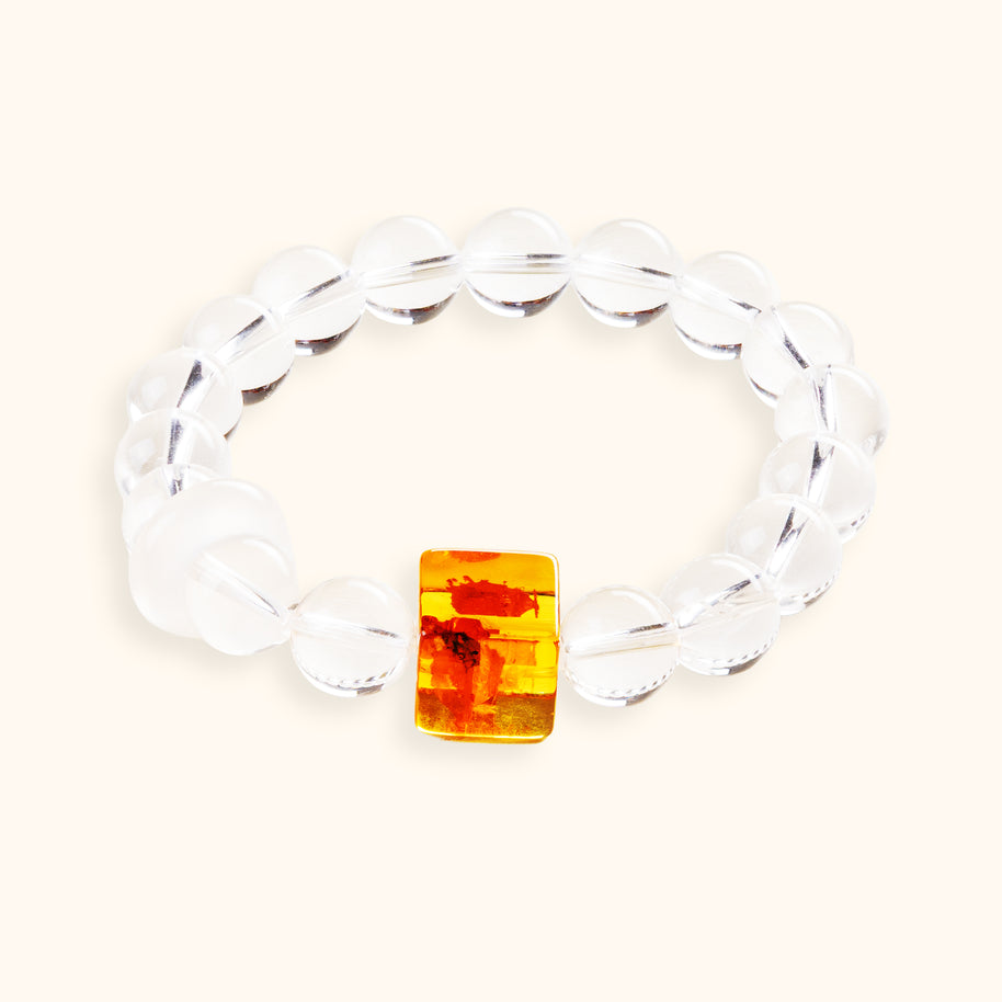 Amber in Ice — main image