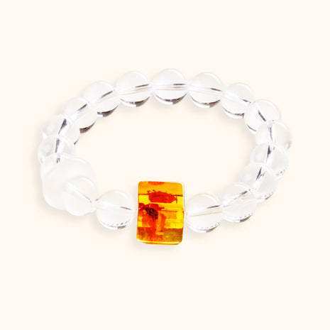 Amber in Ice — main image
